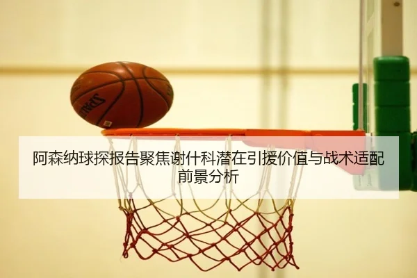 阿森纳球探报告聚焦谢什科潜在引援价值与战术适配前景分析 | kaiyun